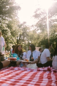 a group of people sitting on a picnic blanket