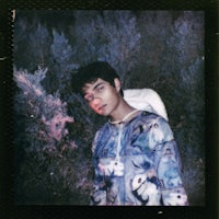 a young man in a polaroid standing in front of bushes